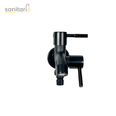 Stainless Steel Two-Way Lever Bib Tap – Dual-Function & Stylish Design