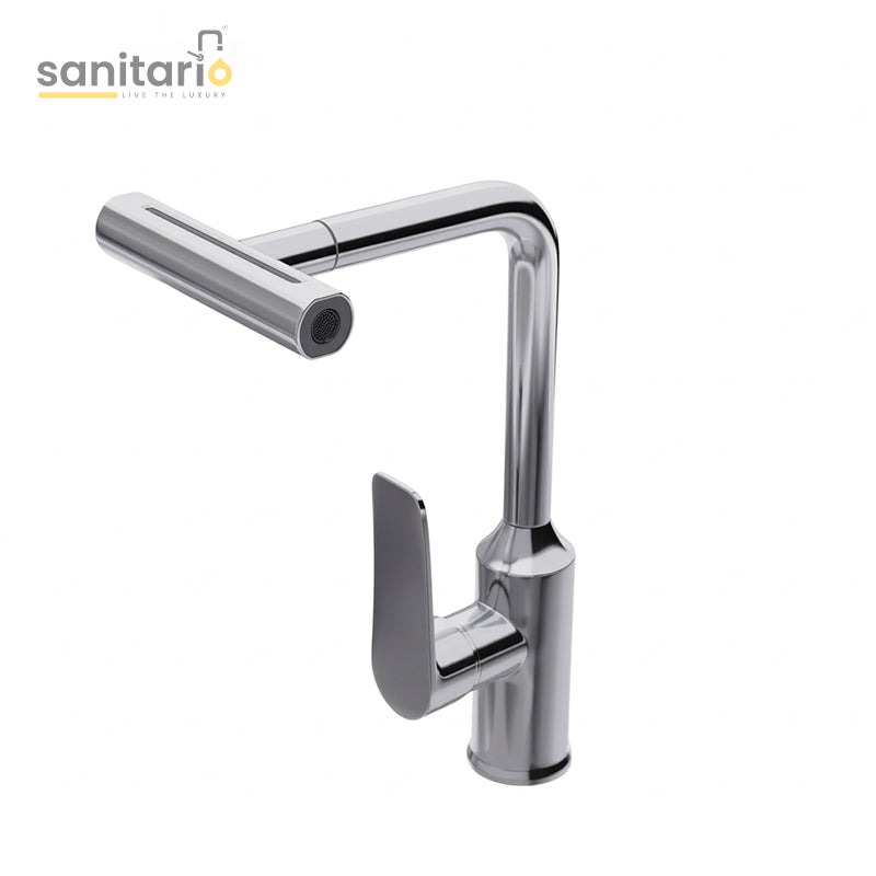 Kitchen Faucet with Pull-Out Spout