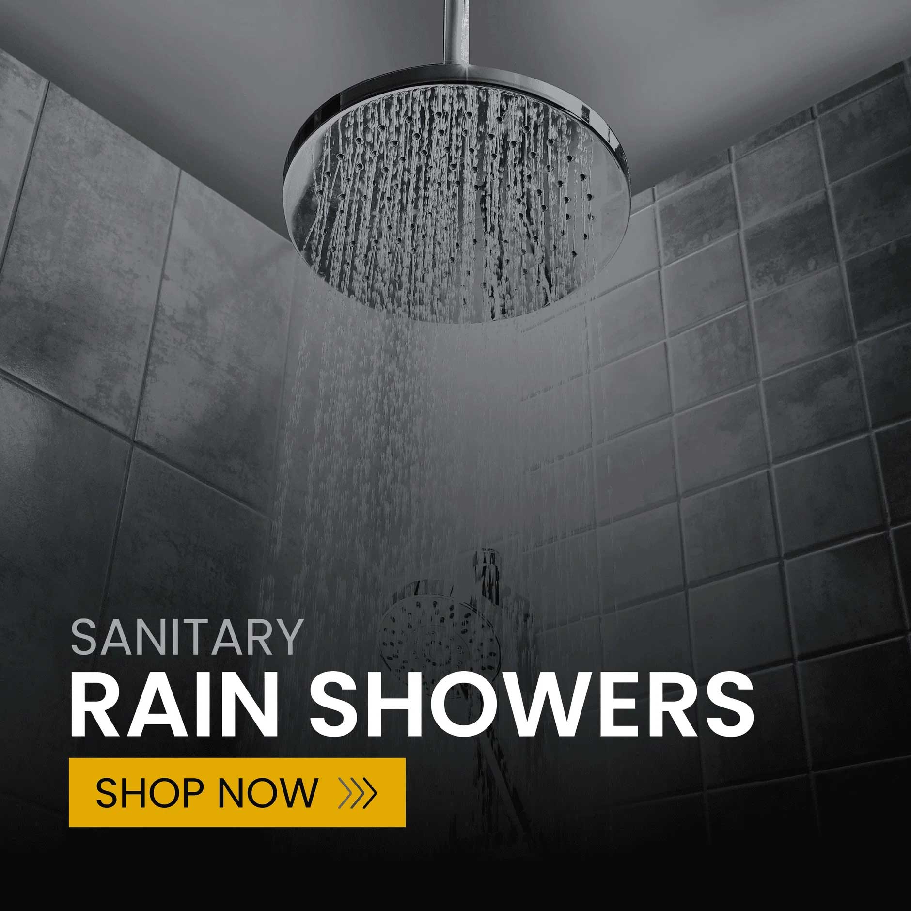 Sanitario